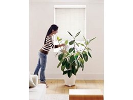 Kresta blinds save energy through effective window insulation