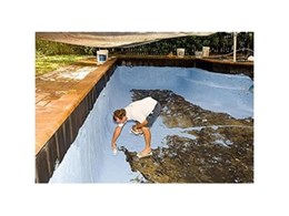Quartzon pool render for pool renovations