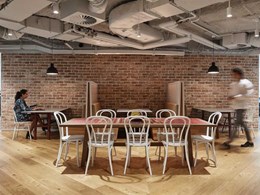 Engineered timber on floors and walls add depth and warmth to new Cisco Canberra HQ