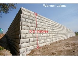 Stone Strong: The Great Wall of Warner