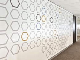 Mural at Melbourne office created with EchoPanel custom printed wall panels