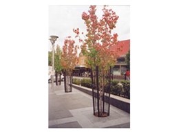 CityGreen root protection systems play essential role in Bankstown council streetscape upgrade