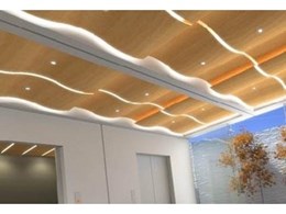 Swurve ceiling panels from Tasman Building Systems
