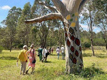 The newly opened ‘Gabrugal Yana’ bushwalk in Western Sydney Parklands