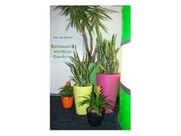 Environment friendly planters available from Action Indoor Plant Hire