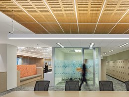 Custom timber wedge ceiling impresses at Mental Health Commission office in Perth