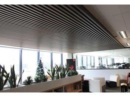 Kingwood composite timber ceiling installed at Adobe, Sydney office