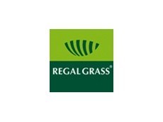 Regal Grass