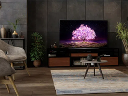 Product Review: LG 55" 4K OLED EVO TV + Art Gallery