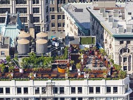 Key considerations for creating a commercial rooftop garden
