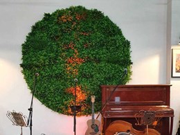 Evergreen Country completes feature wall at Bucketty's brewery