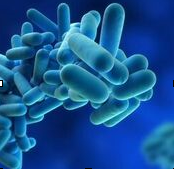 Let us eradicate Legionella from Australian hospitals with smart design