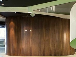 Curved walls created with CurveShield plasterboard at National Foods head office 