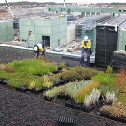 ASPECT Studios - Victorian Desalination Project Green Roof