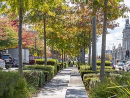Local landscape architect explains why trees are important to Western Sydney’s development