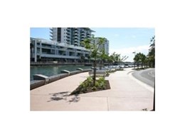 RootCells from Arborgreen Landscape Products nurture young trees and protect pavement on Maroochydore promenade