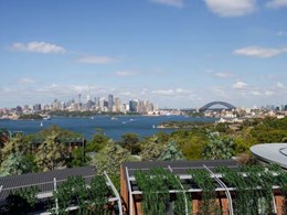 Cox propose stacked pods with green screens and CLT for new Taronga Zoo accommodation 