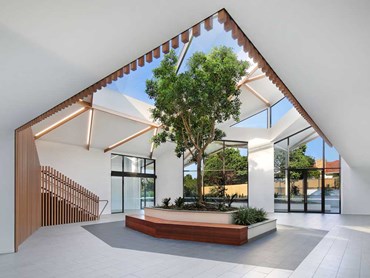 A six-metre Ficus Hilii tree welcomes patients at the Victorian Specialist Centre