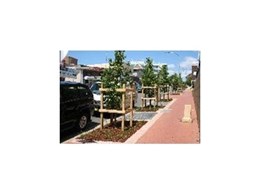 Arborgreen Landscape Products’ RootCell zone and irrigation system features in Sydney streetscape