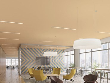 USG Boral Ensemble acoustic ceiling panels in office interior