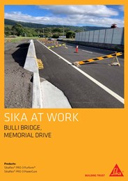 Sika at work: Bulli Bridge, Memorial Drive