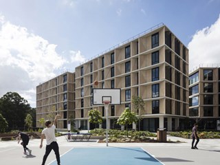 architectus student accommodation macquarie university