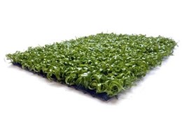MultiUse artificial turf soon to be released by Regal Grass