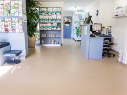 25-year-old Altro safety floor still going strong at Melbourne vet clinic