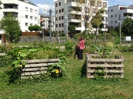 Green space – how much is enough, and what’s the best way to deliver it?