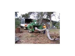 Tree removal services from All Hills District Tree Removal