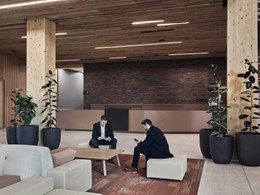 Solid timber ceilings combine acoustic benefits and stunning appeal at Ballarat GovHub