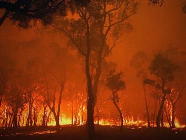 The devastating Black Summer bushfires of 2019-20 burnt over 18 million hectares
