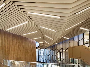 Acoustic Timber Ceiling Commercial Building Foyer