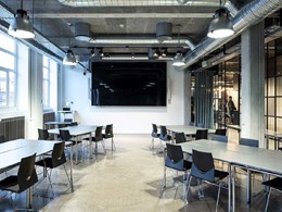 Troldtekt acoustic panels ensure work comfort in industrial themed office 