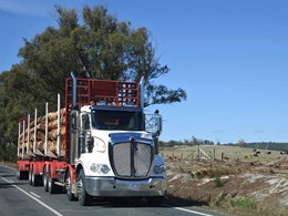 How responsible forestry will help address the shortage of Australian timber