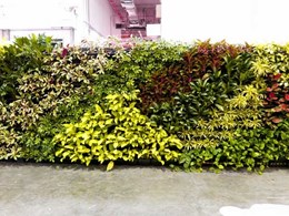 Elmich green wall system adds refreshing touch to Green Living 2016
