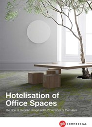 Hotelisation of office spaces: The role of biophilic design in the workplaces of the future