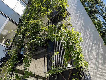 Designing Vertical Green Walls