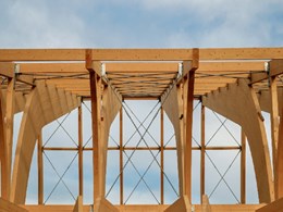 Timber framing Vs steel framing – what’s more popular, and why