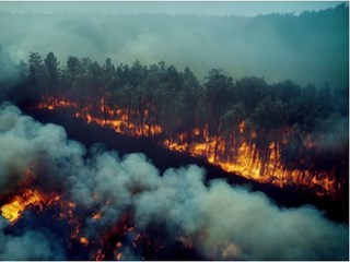 Extreme bushfires 