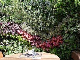 Vertical gardening goes modular with Vista Concepts system