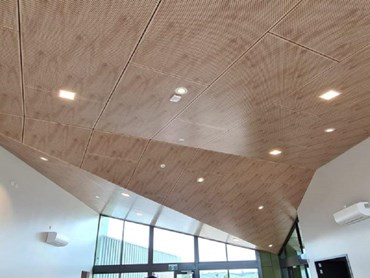 Au.diPanel AP250D/100 with Inluxe Image Hoop Pine at the sports pavilion