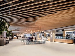 How timber ceilings can transform spaces in commercial projects