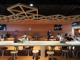 Customised SUPAWOOD beams help achieve striking feature ceiling at Macquarie University