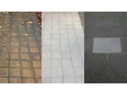 Permanent prevention of moss and algae on concrete and natural stone 