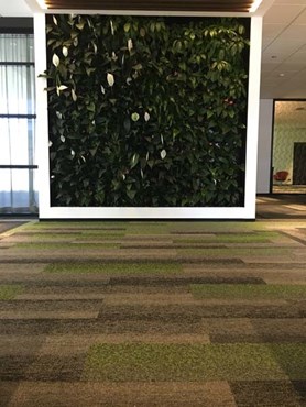 Show Technologies office featuring Carpets Inter EcoSoft plank carpet tiles
