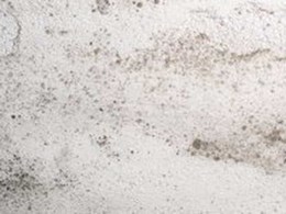 Minimising the impact of mould in buildings