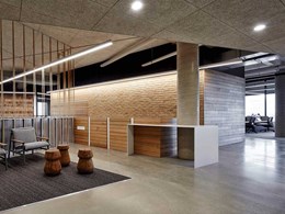 Troldtekt acoustic panels add rustic touch to Port Adelaide government office
