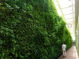 5-metre Elmich vertical garden stars in National Gallery Singapore’s rooftop garden