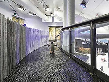 Penguin enclosures at Sydney&rsquo;s Sea Life Aquarium
